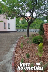 Fekete fenyőkéreg borítás (34)